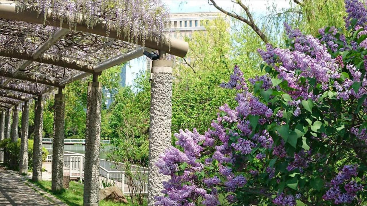 Hotel Lifort Σαππόρο Εξωτερικό φωτογραφία